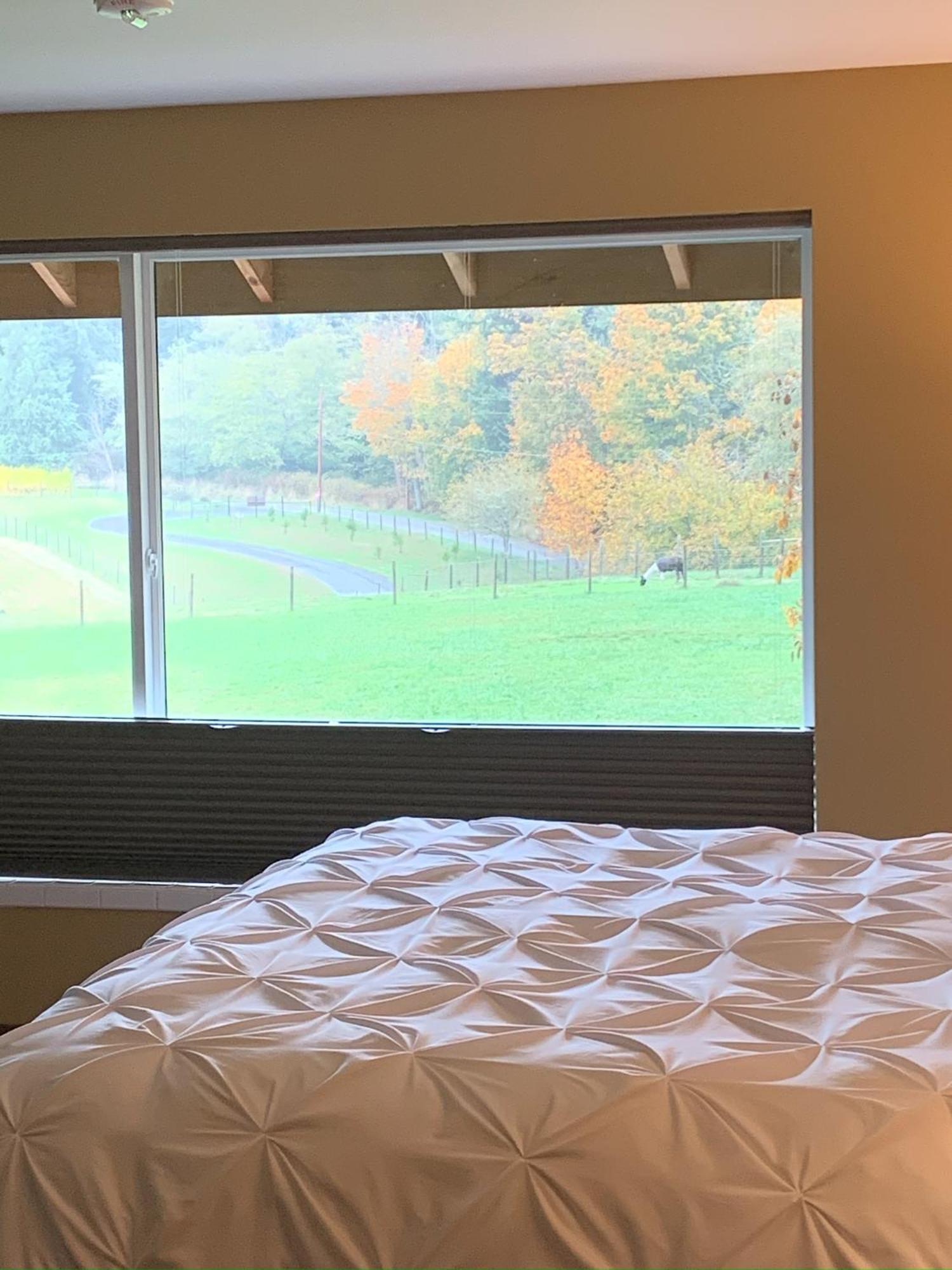 Comforts Of Whidbey Langley Εξωτερικό φωτογραφία
